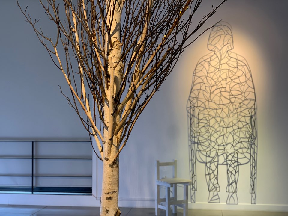 0e6609cd0035ac1a773735eda49f528c_1562135702_2672.jpg
